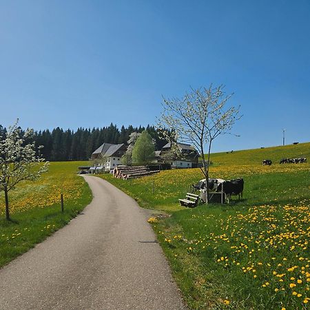 Lorenzenhaeusle Titisee-Neustadt Eksteriør billede