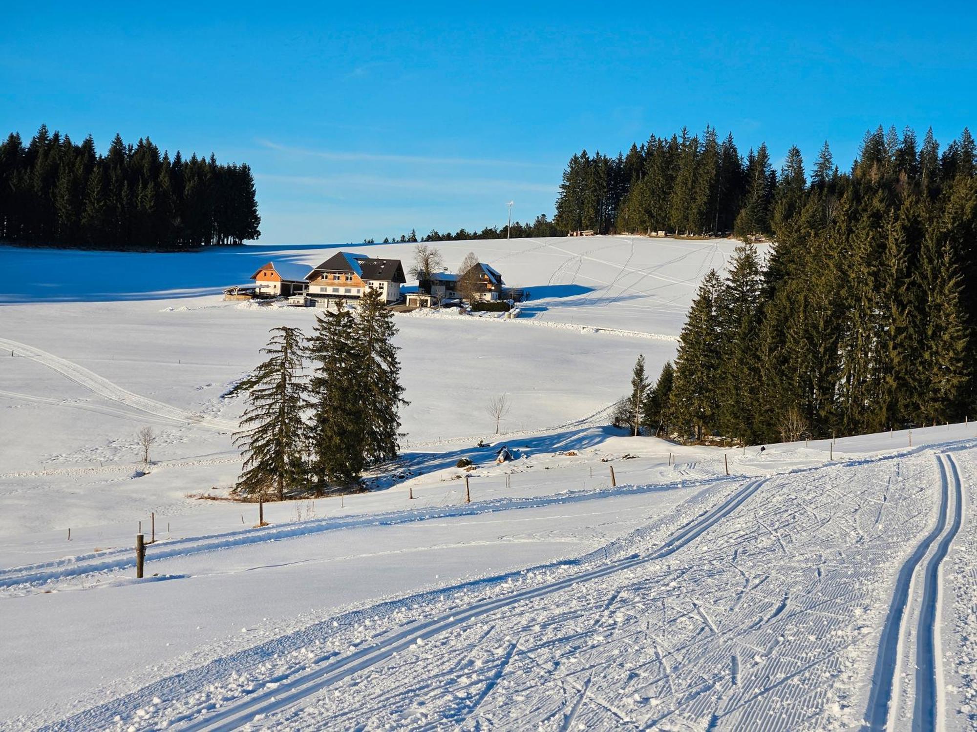 Lorenzenhaeusle Titisee-Neustadt Eksteriør billede