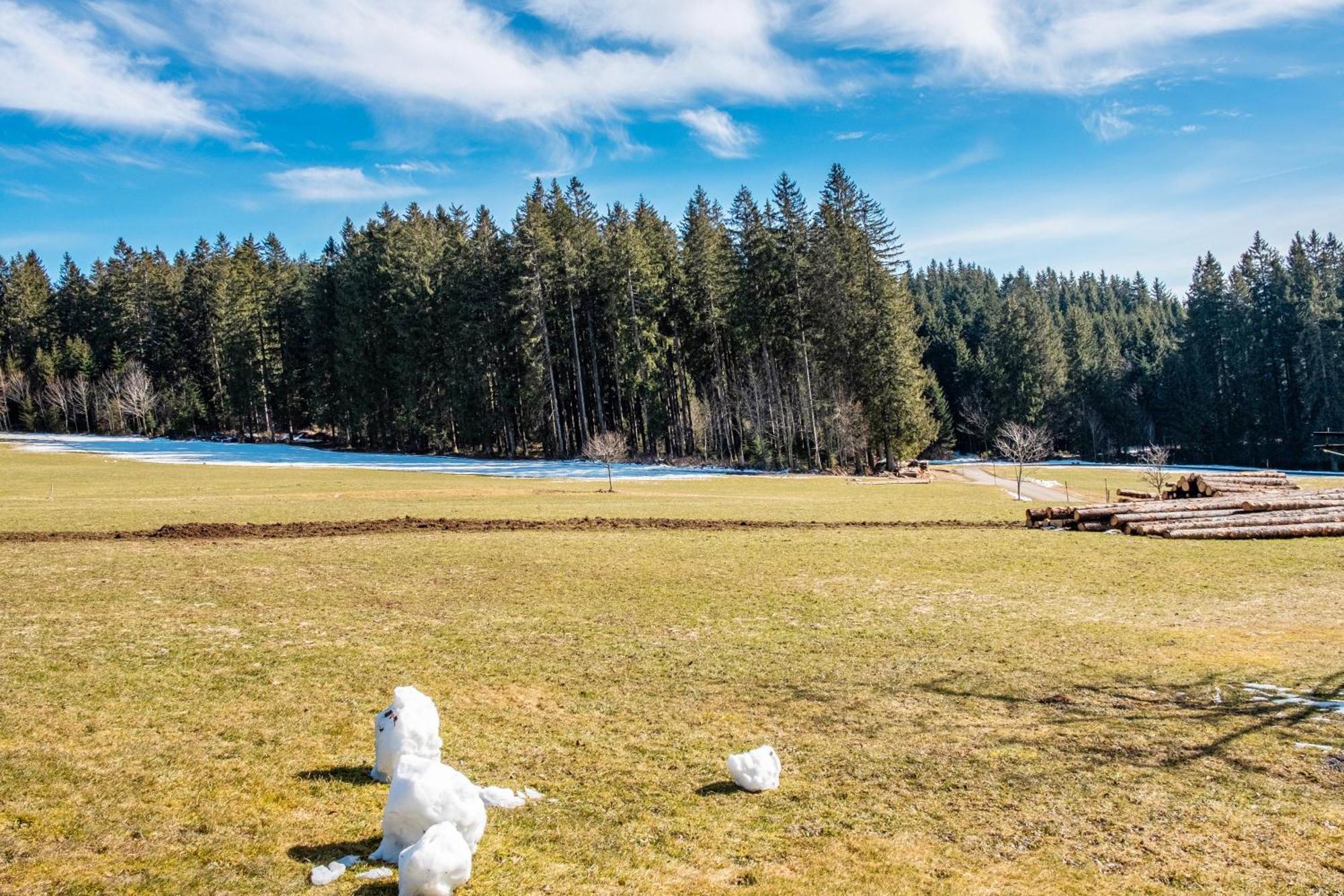 Lorenzenhaeusle Titisee-Neustadt Eksteriør billede