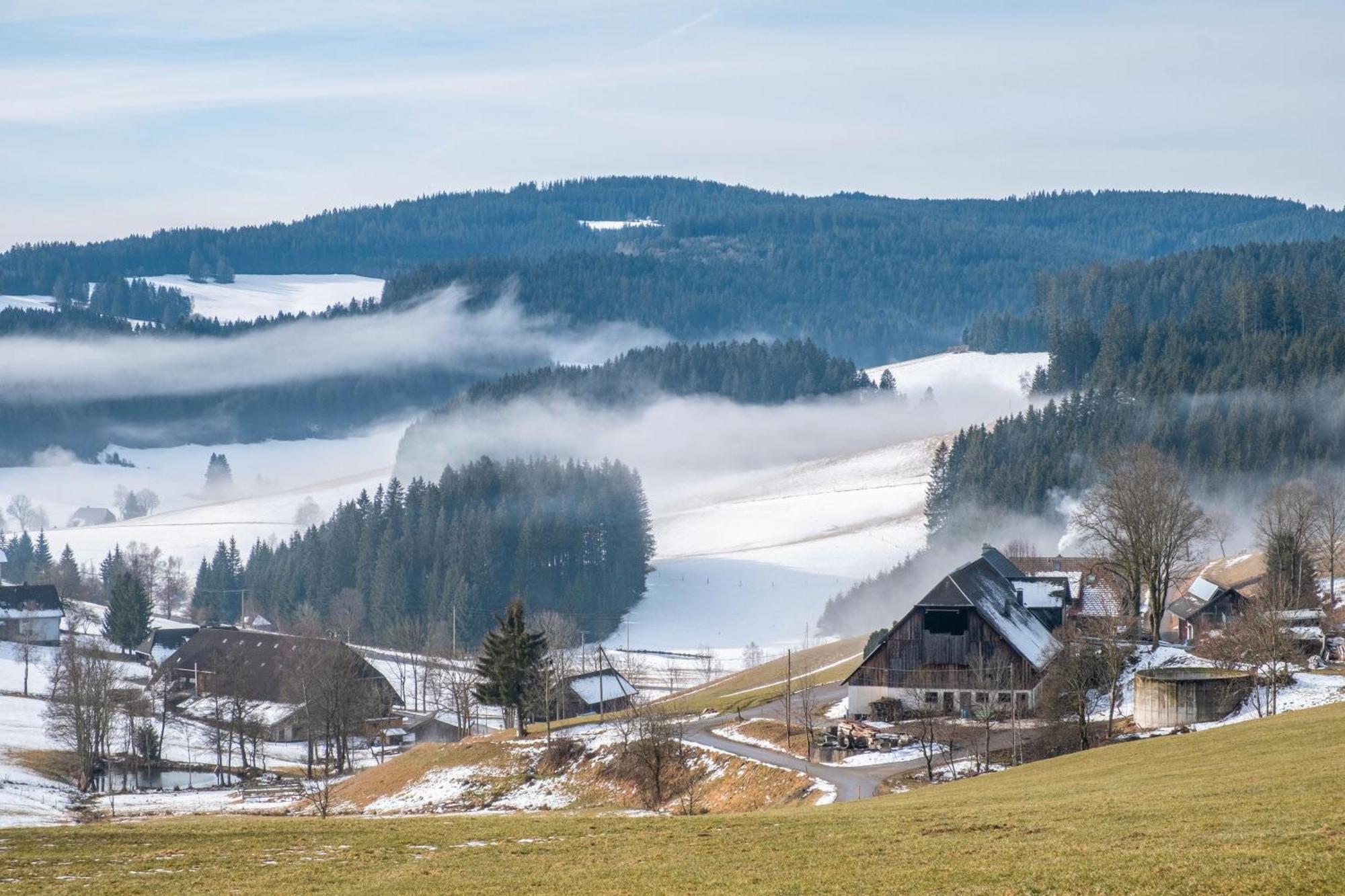 Lorenzenhaeusle Titisee-Neustadt Eksteriør billede