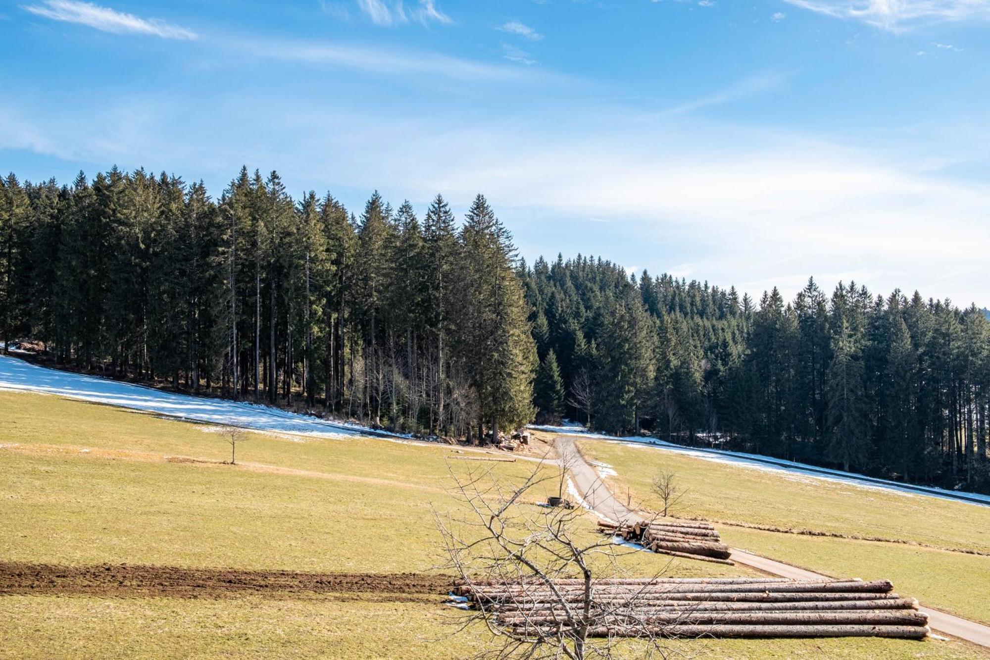 Lorenzenhaeusle Titisee-Neustadt Eksteriør billede