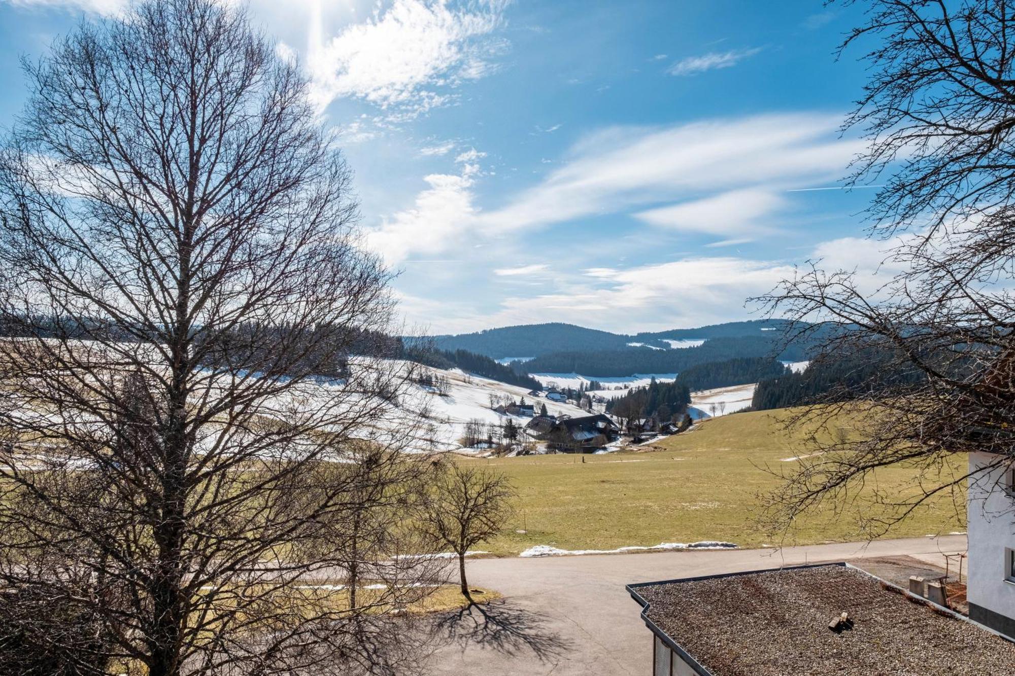 Lorenzenhaeusle Titisee-Neustadt Eksteriør billede