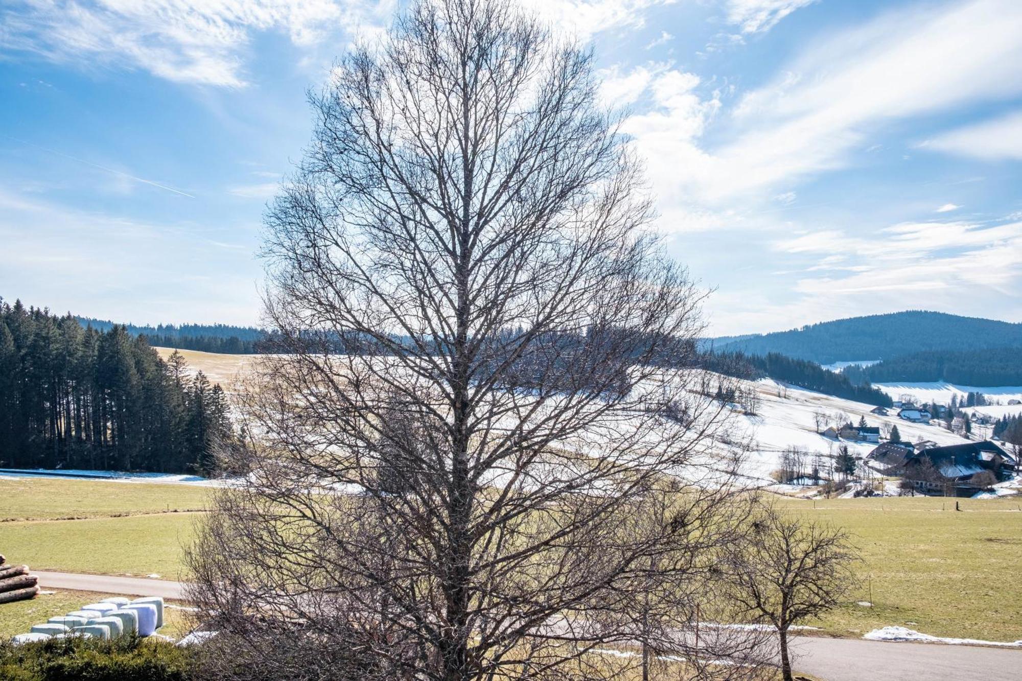 Lorenzenhaeusle Titisee-Neustadt Eksteriør billede