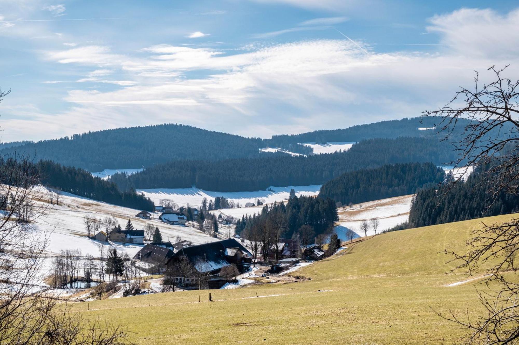 Lorenzenhaeusle Titisee-Neustadt Eksteriør billede