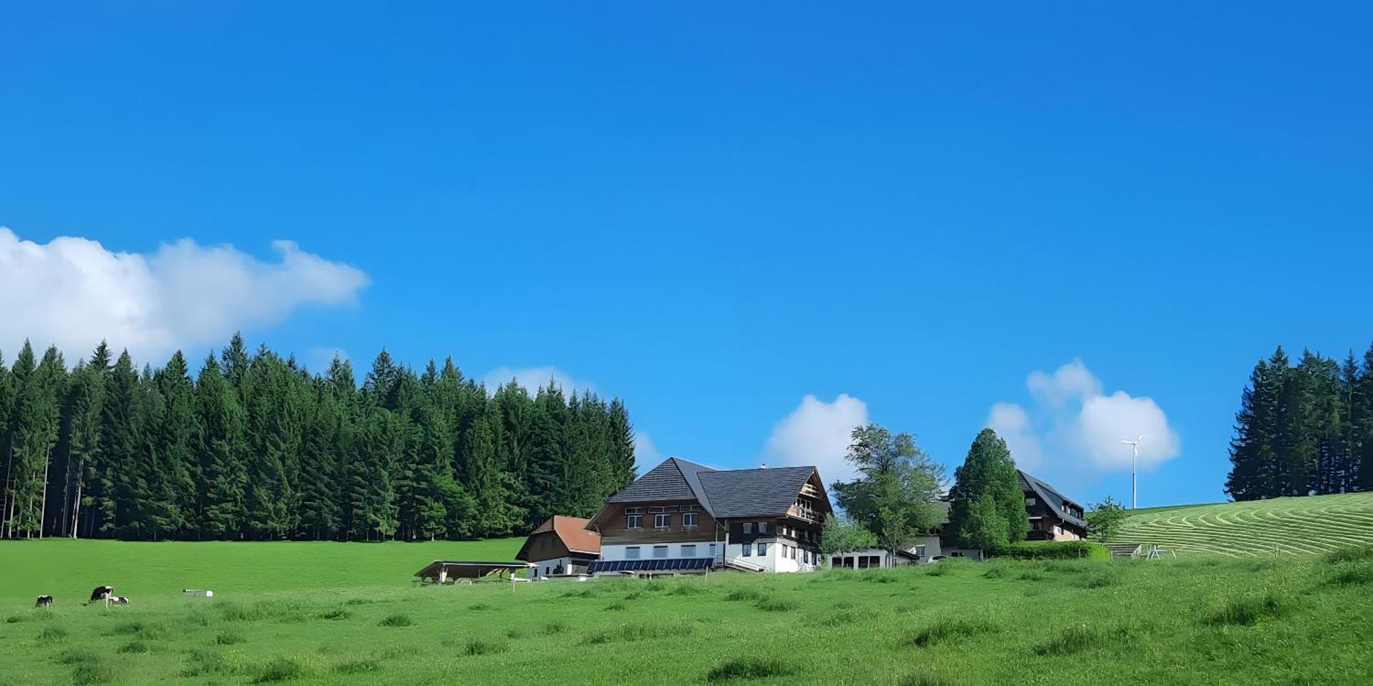 Lorenzenhaeusle Titisee-Neustadt Eksteriør billede