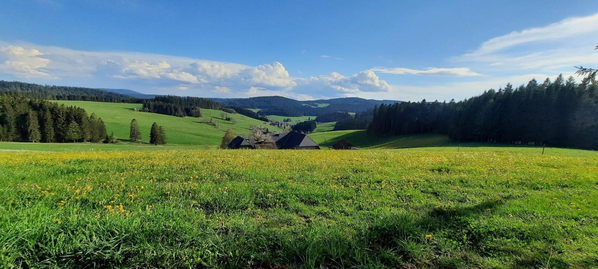 Lorenzenhaeusle Titisee-Neustadt Eksteriør billede