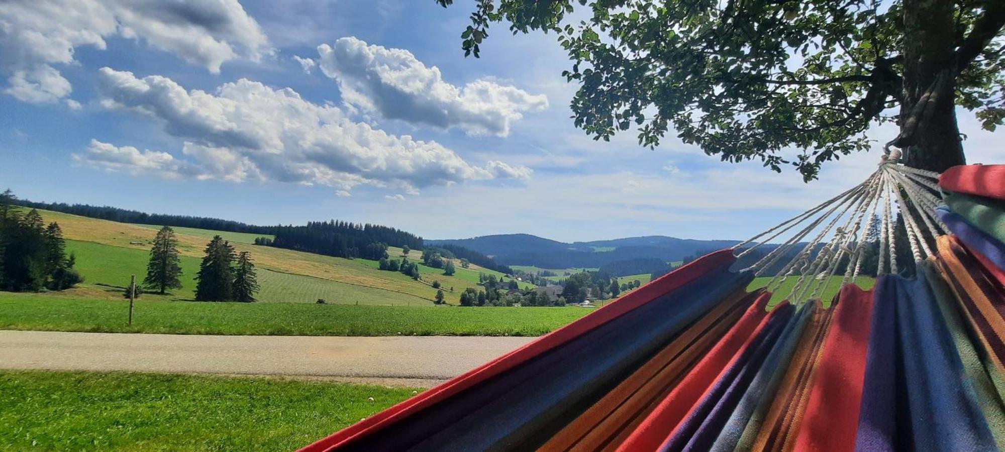 Lorenzenhaeusle Titisee-Neustadt Eksteriør billede