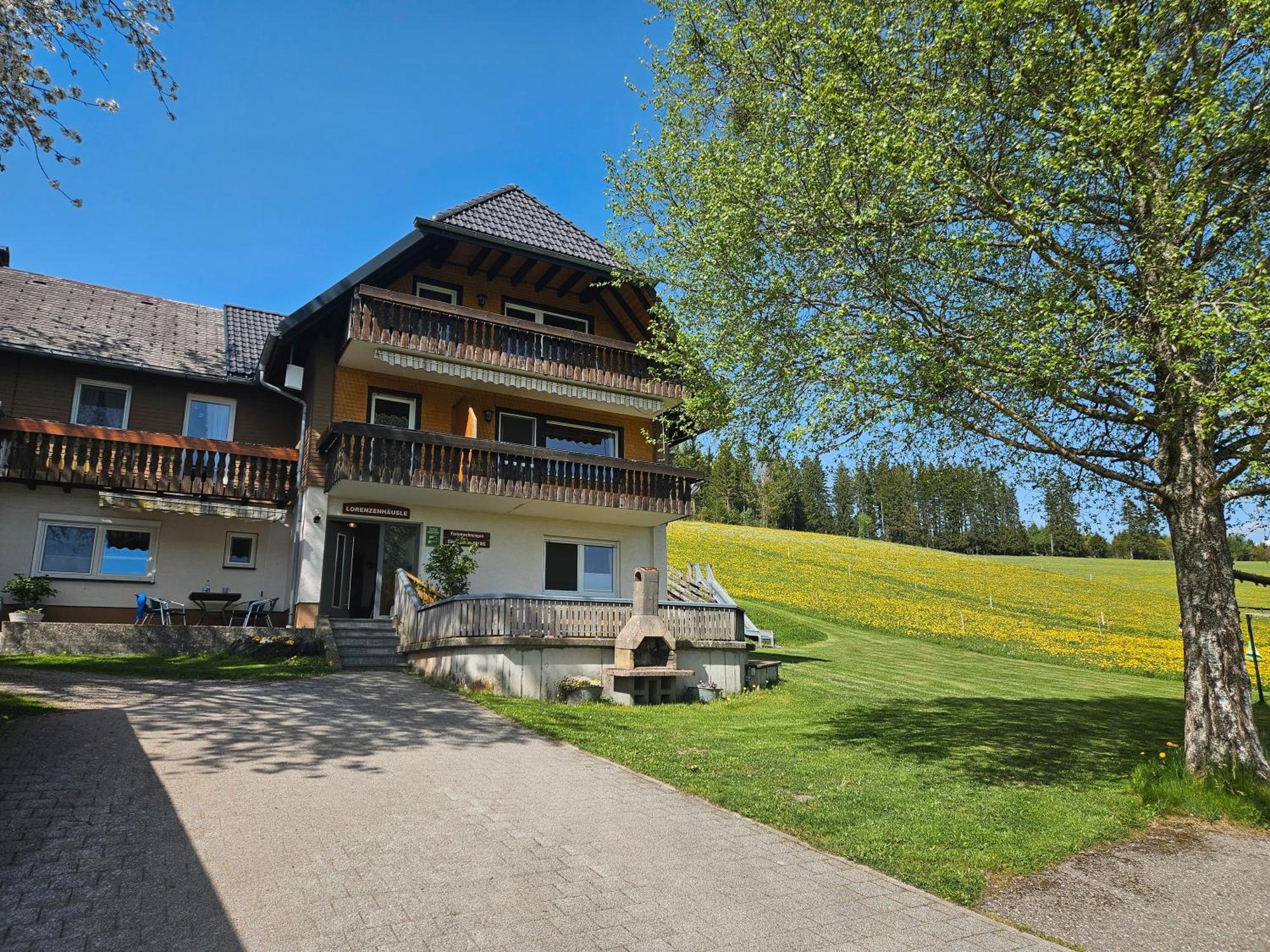 Lorenzenhaeusle Titisee-Neustadt Eksteriør billede