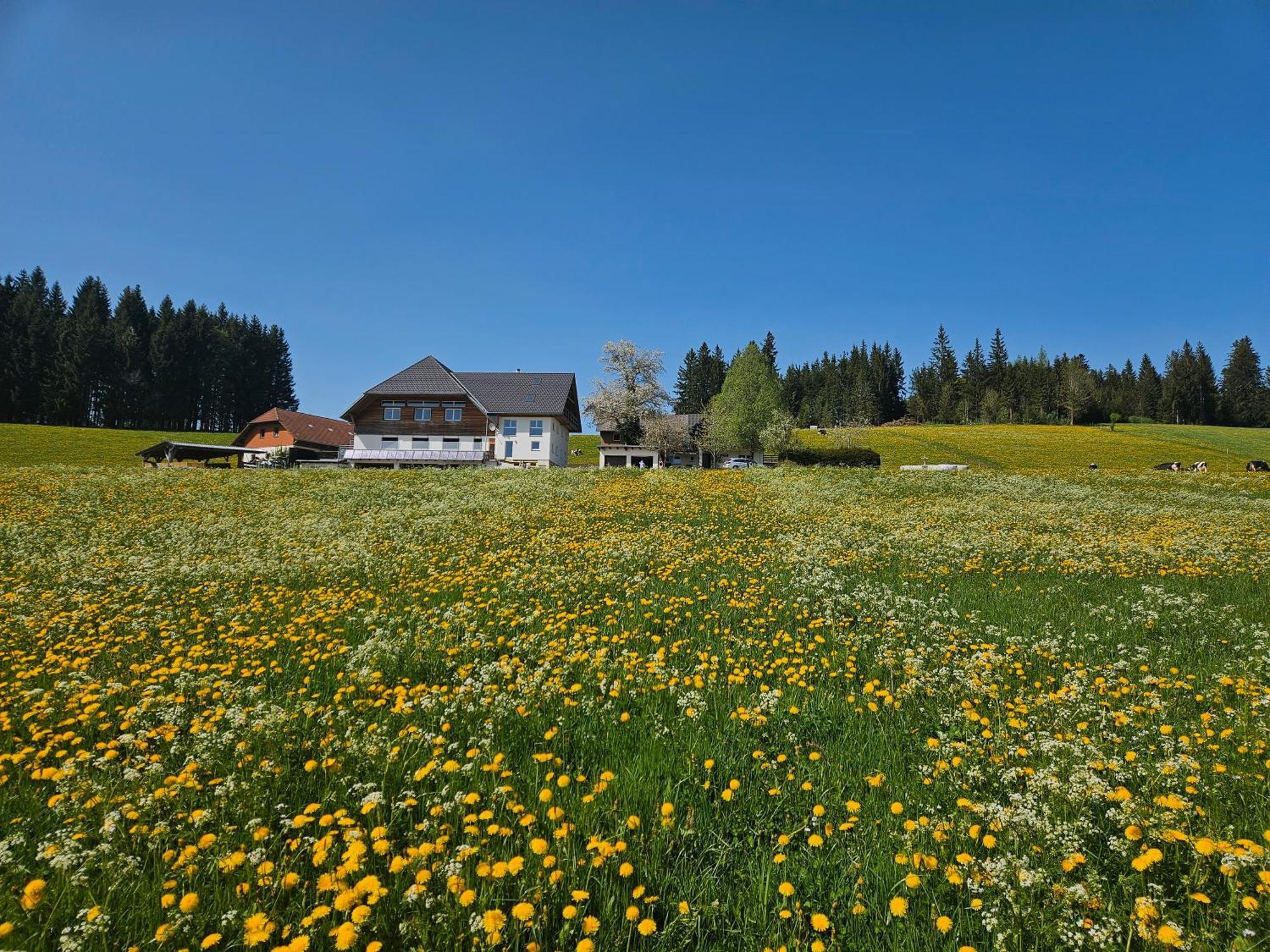Lorenzenhaeusle Titisee-Neustadt Eksteriør billede
