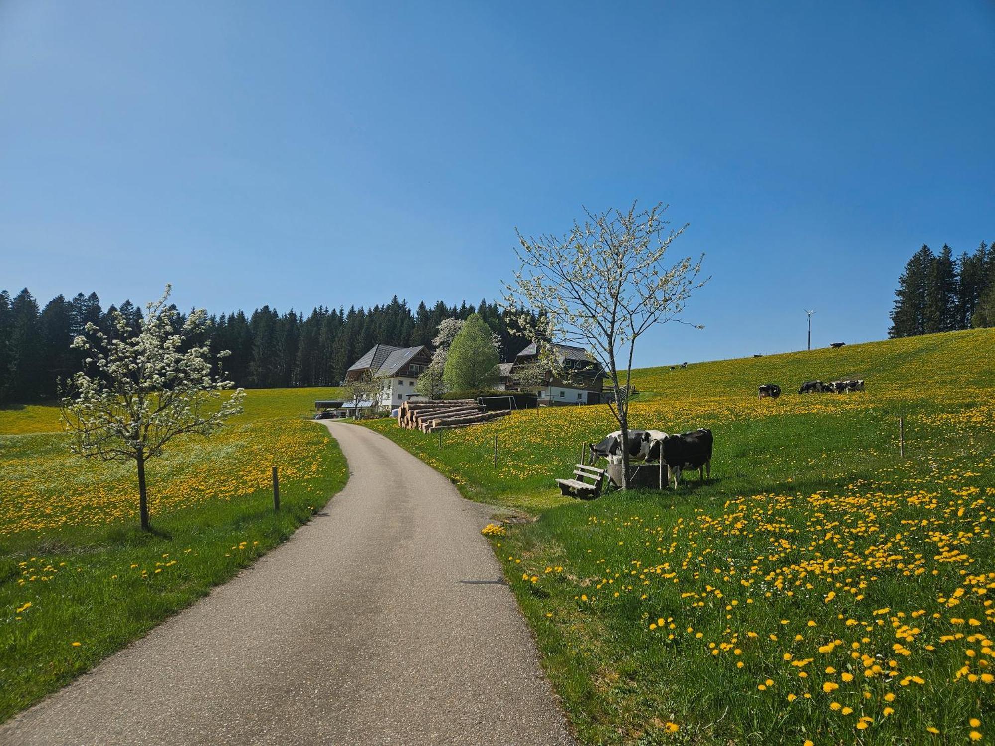 Lorenzenhaeusle Titisee-Neustadt Eksteriør billede
